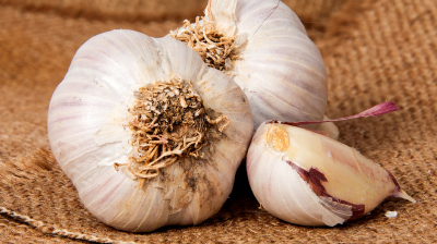 CHIẾT XUẤT TỎI CÔ ĐẶC (Potent Garlic Extracts) - 50mg