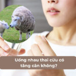 Uống nhau thai cừu có tăng cân không