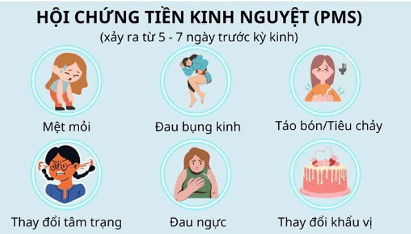 Tăng estrogen có ảnh hưởng đến chu kỳ kinh nguyệt không?