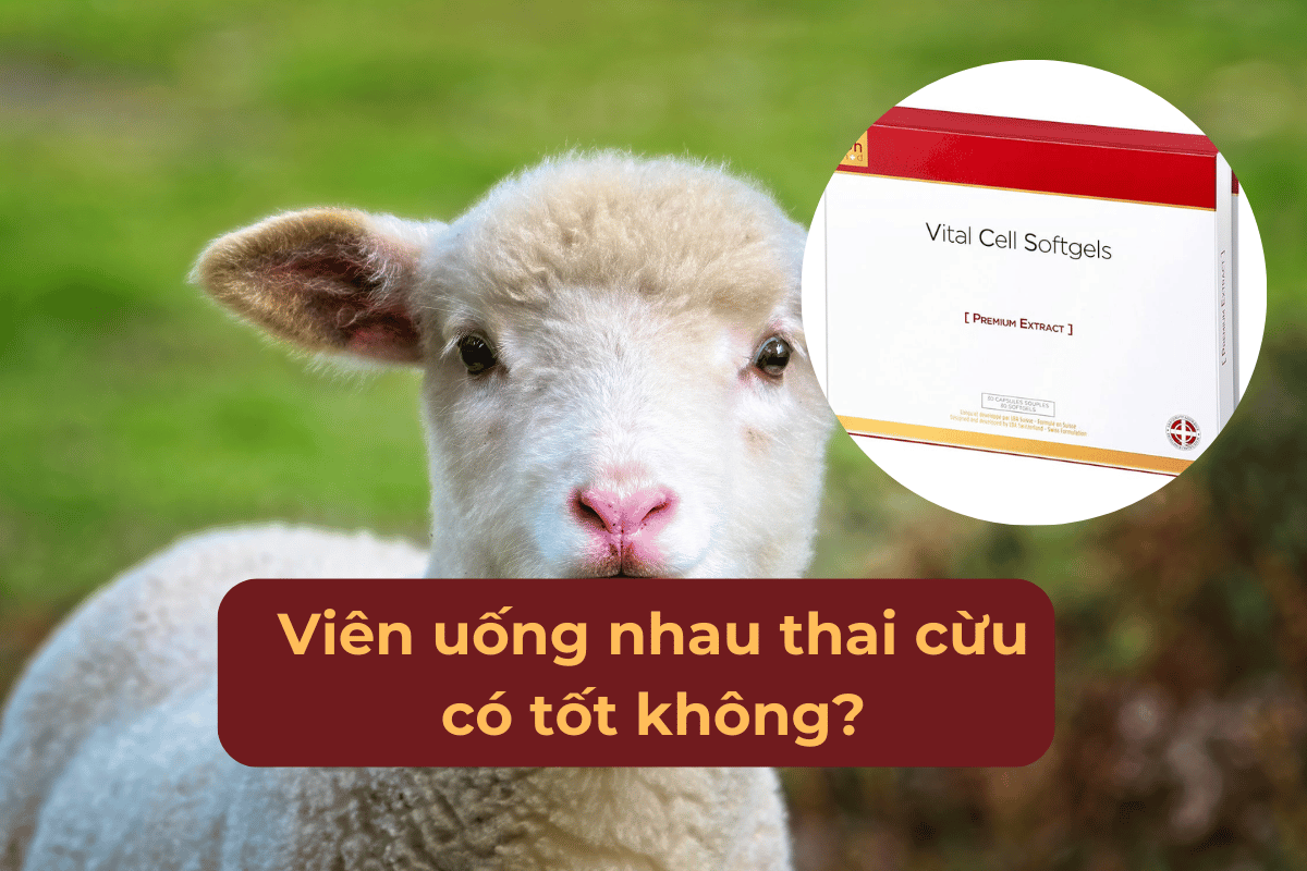 Viên uống nhau thai cừu có tốt không