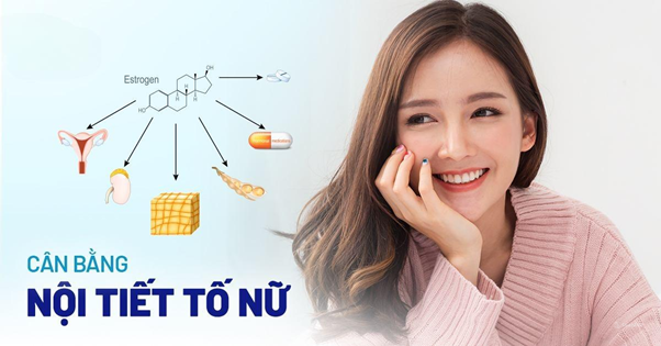 Nhau thai cừu hỗ trợ cân bằng nội tiết tố nữ