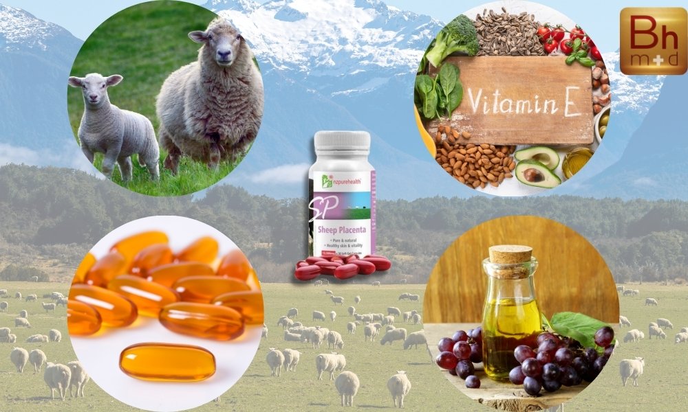 Viên uống nhau thai cừu New Zealand Sheep Placenta NZPureHealth có 4 thành phần chính