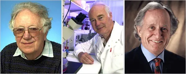 Ba nhà nghiên cứu đã đạt giải Nobel Y học về nghiên cứu tế bào gốc