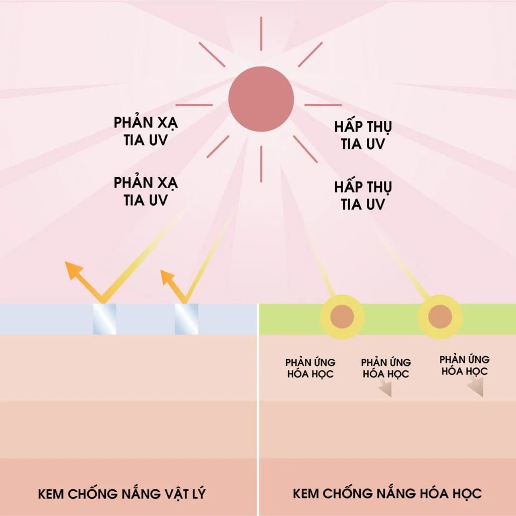 Cơ chế hoạt động của kem chống nắng hóa học và khoáng chất